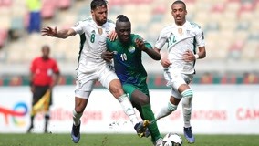 F1阿布扎比终极对决前瞻：诺里斯杆位稍占优，维斯塔潘正赛握主动