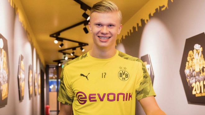 安达卢西亚西班牙马以战马天赋闻名欧洲数世纪